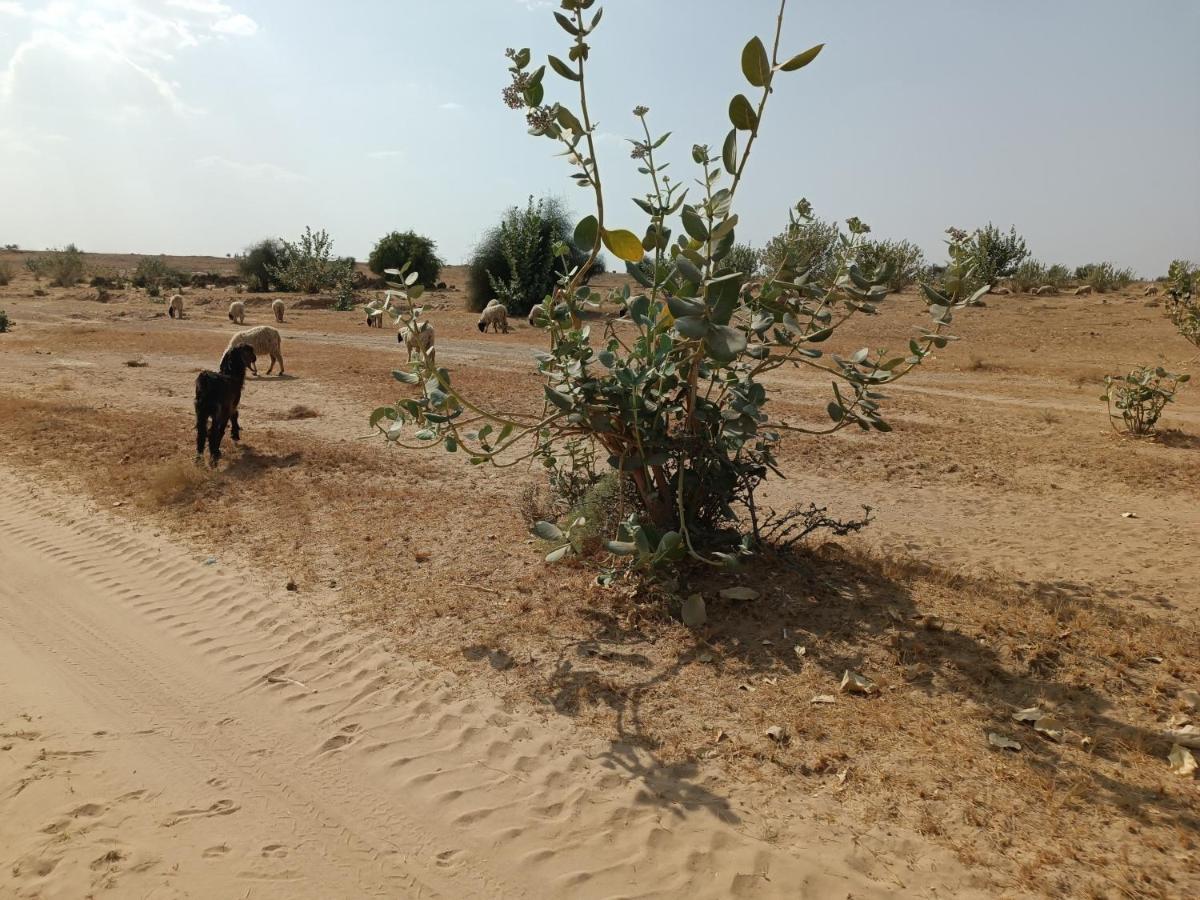 Hotel Relax Inn Jaisalmer Eksteriør billede